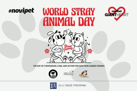 NOVIBET World Stray Animal Day